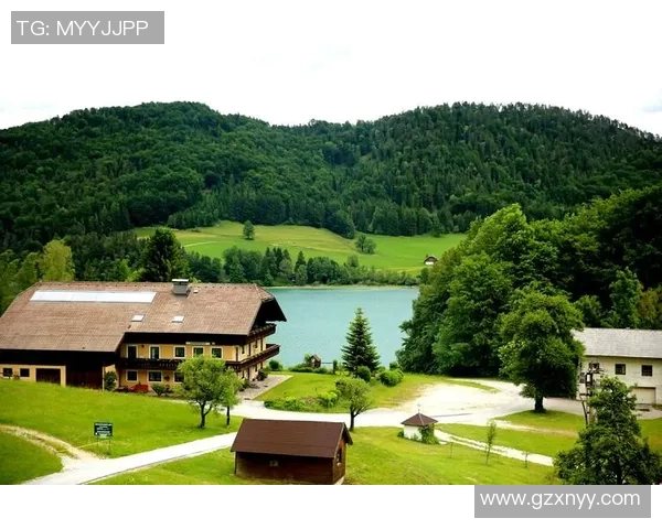 德国与奥地利精彩赛事直播全程回顾与分析尽在这里