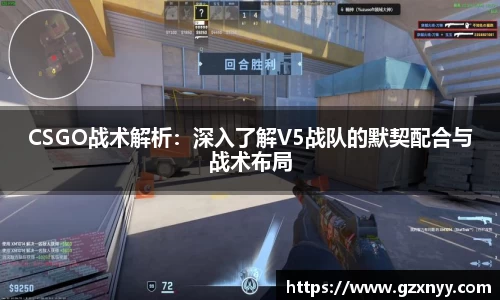 CSGO战术解析：深入了解V5战队的默契配合与战术布局