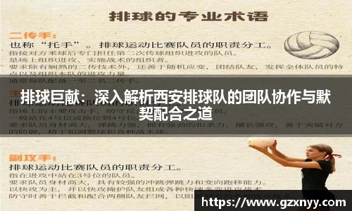 排球巨献：深入解析西安排球队的团队协作与默契配合之道